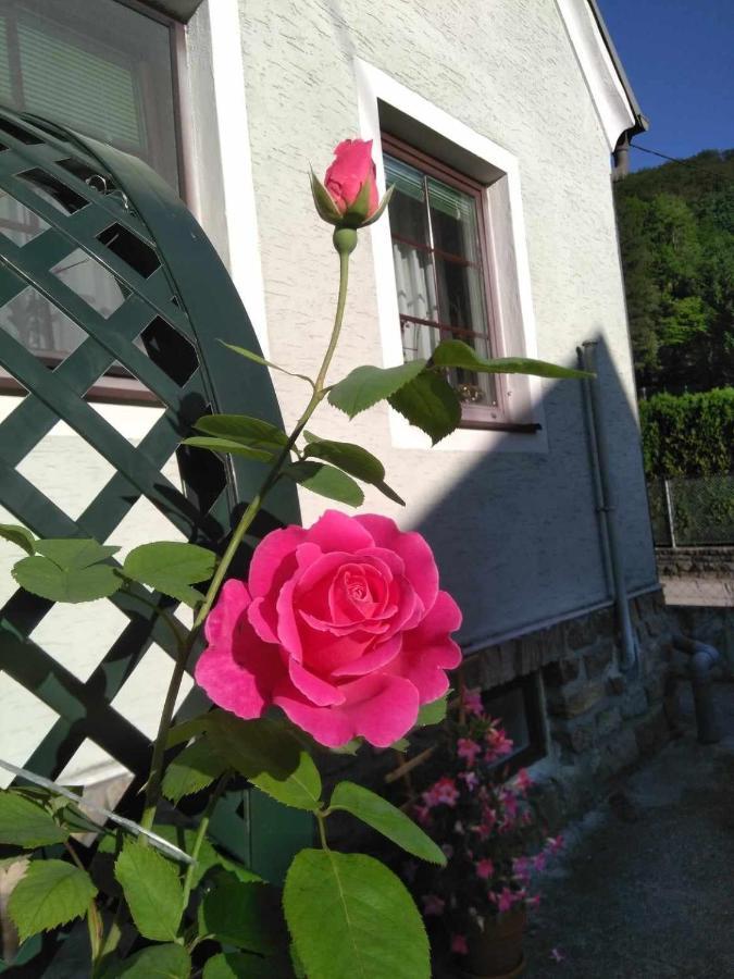 Zu Hause Am Bach Apartman Aggsbach Kültér fotó